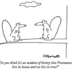 mason_squirrel Mason squirrel